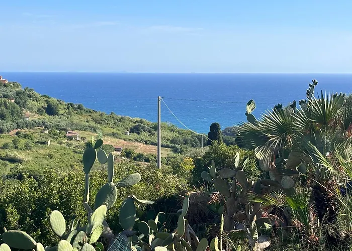 Dal Conte
